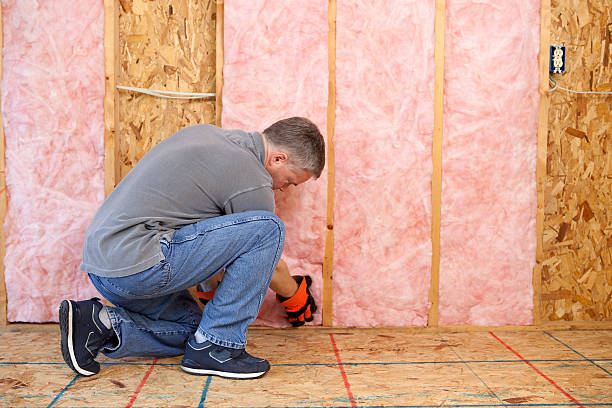 Best Insulation for New Construction  in Sparks, TX